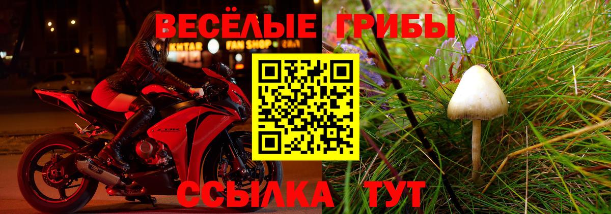 Галлюциногенные грибы Cubensis  Вход с VPN  Арзамас 